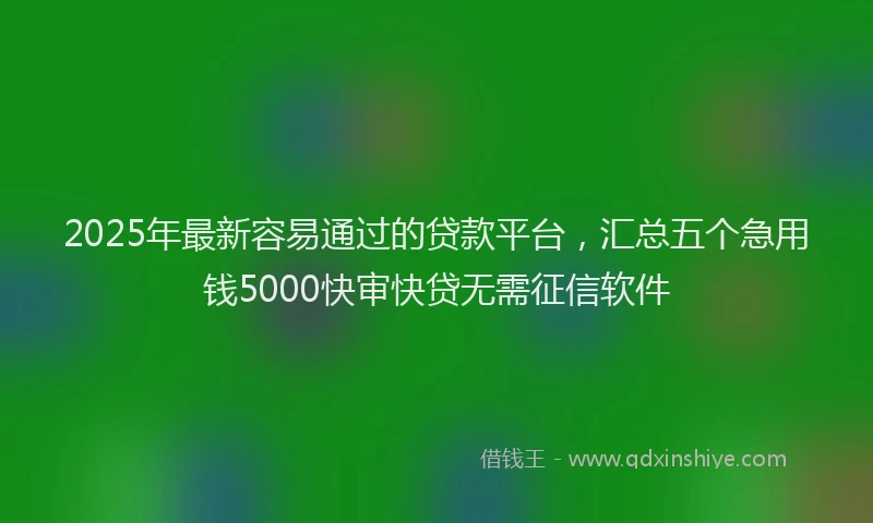 2025年最新容易通过的贷款平台，汇总五个急用钱5000快审快贷无需征信软件