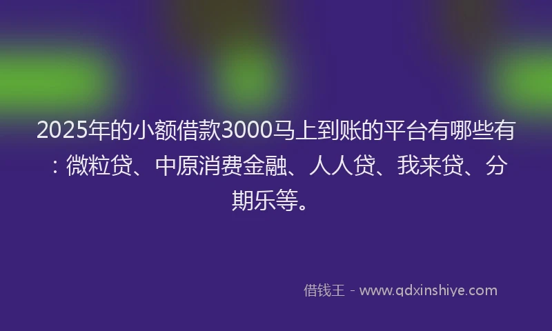 2025年的小额借款3000马上到账的平台有哪些有：微粒贷、中原消费金融、人人贷、我来贷、分期乐等。