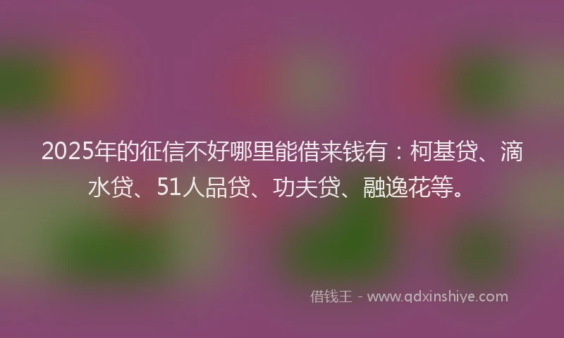 2025年的征信不好哪里能借来钱有：柯基贷、滴水贷、51人品贷、功夫贷、融逸花等。