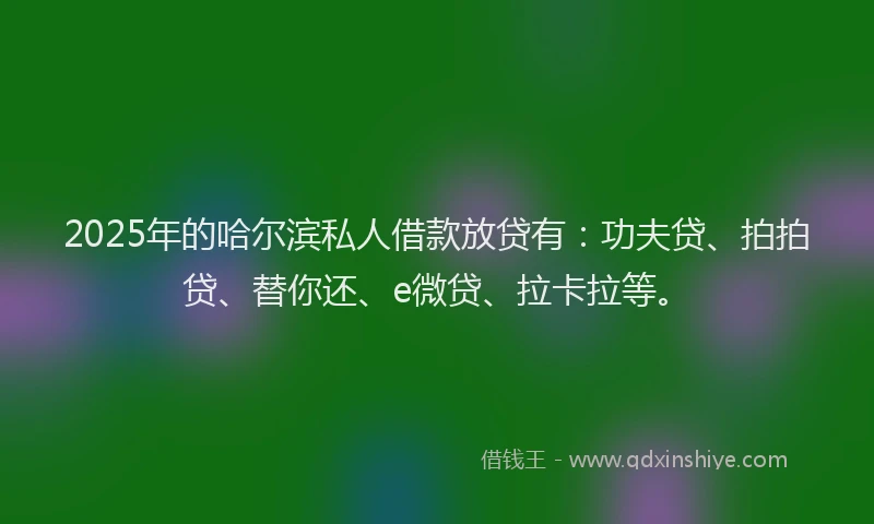 2025年的哈尔滨私人借款放贷有：功夫贷、拍拍贷、替你还、e微贷、拉卡拉等。
