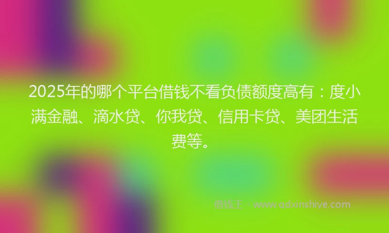 2025年的哪个平台借钱不看负债额度高有：度小满金融、滴水贷、你我贷、信用卡贷、美团生活费等。