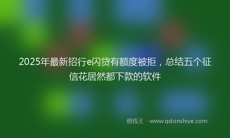 2025年最新招行e闪贷有额度被拒，总结五个征信花居然都下款的软件