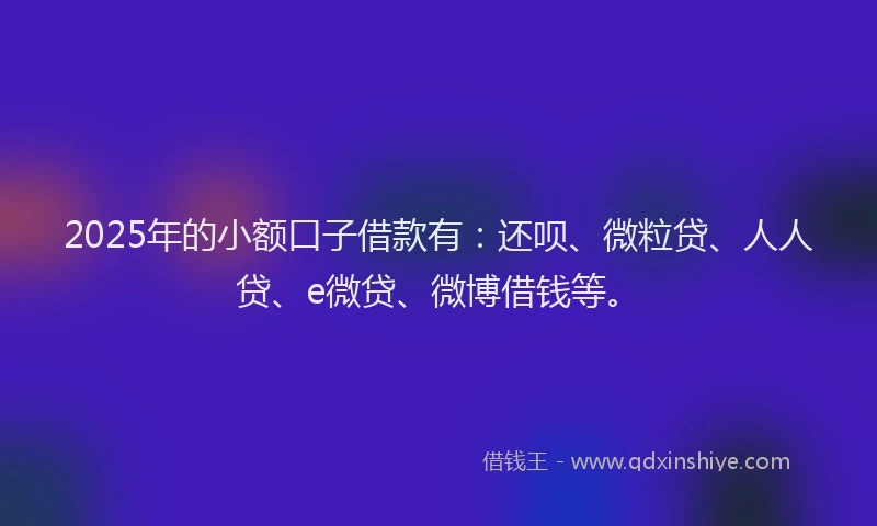 2025年的小额口子借款有：还呗、微粒贷、人人贷、e微贷、微博借钱等。