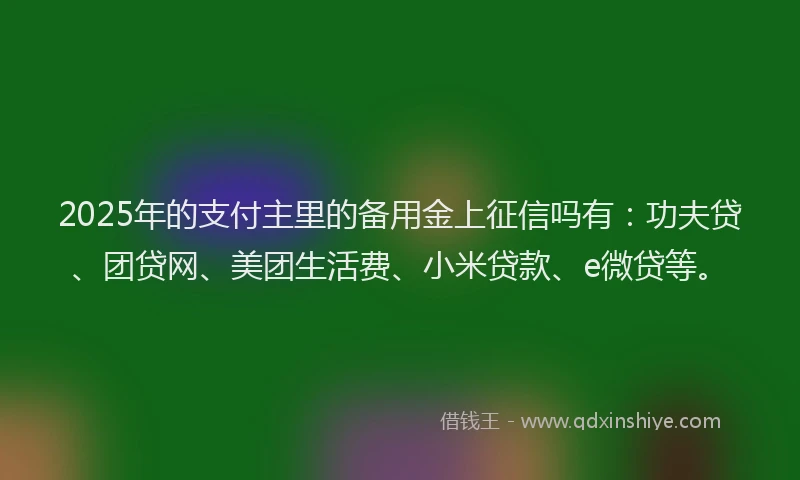 2025年的支付主里的备用金上征信吗有：功夫贷、团贷网、美团生活费、小米贷款、e微贷等。