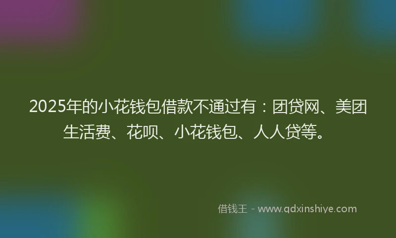2025年的小花钱包借款不通过有：团贷网、美团生活费、花呗、小花钱包、人人贷等。