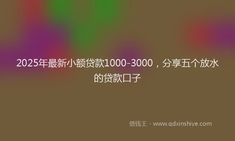 2025年最新小额贷款1000-3000，分享五个放水的贷款口子