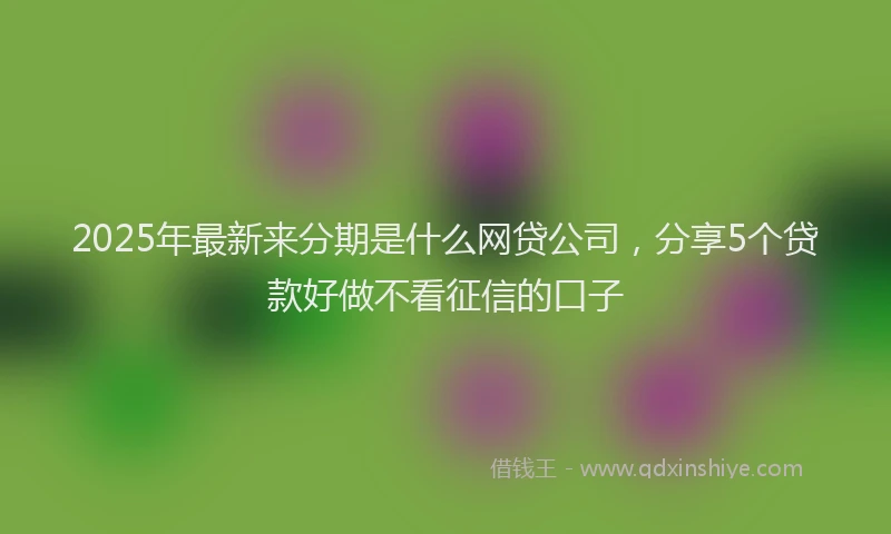 2025年最新来分期是什么网贷公司，分享5个贷款好做不看征信的口子