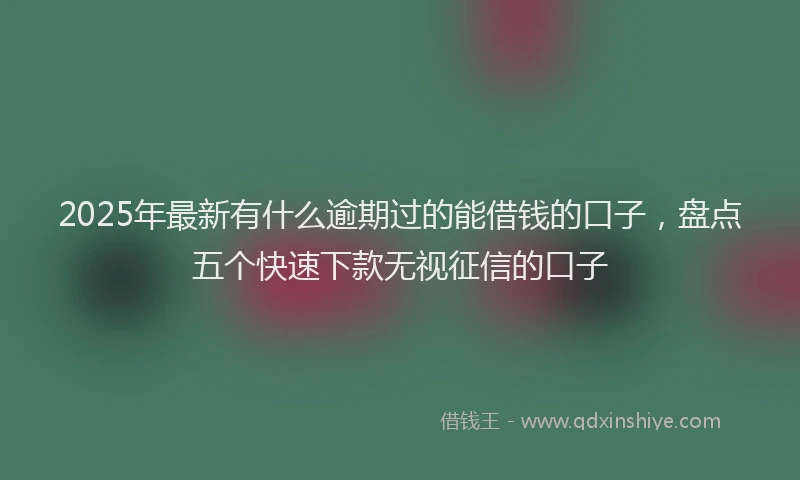2025年最新有什么逾期过的能借钱的口子，盘点五个快速下款无视征信的口子