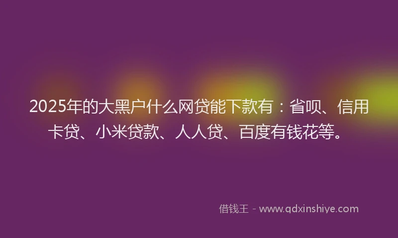 2025年的大黑户什么网贷能下款有：省呗、信用卡贷、小米贷款、人人贷、百度有钱花等。