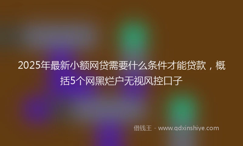 2025年最新小额网贷需要什么条件才能贷款，概括5个网黑烂户无视风控口子