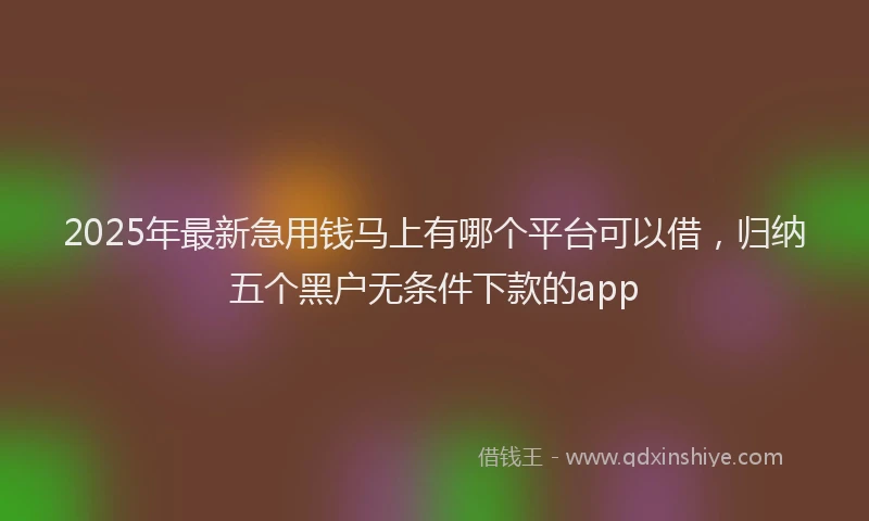 2025年最新急用钱马上有哪个平台可以借，归纳五个黑户无条件下款的app