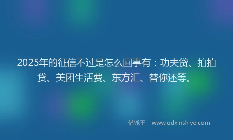 2025年的征信不过是怎么回事有：功夫贷、拍拍贷、美团生活费、东方汇、替你还等。
