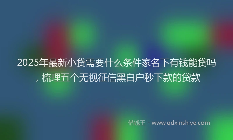2025年最新小贷需要什么条件家名下有钱能贷吗，梳理五个无视征信黑白户秒下款的贷款