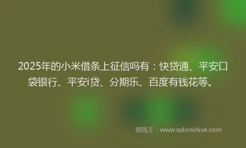 2025年的小米借条上征信吗有：快贷通、平安口袋银行、平安i贷、分期乐、百度有钱花等。