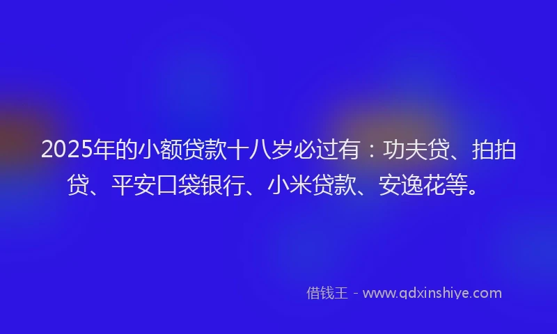 2025年的小额贷款十八岁必过有：功夫贷、拍拍贷、平安口袋银行、小米贷款、安逸花等。