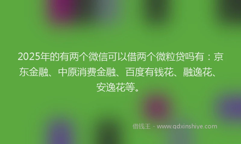 2025年的有两个微信可以借两个微粒贷吗有：京东金融、中原消费金融、百度有钱花、融逸花、安逸花等。