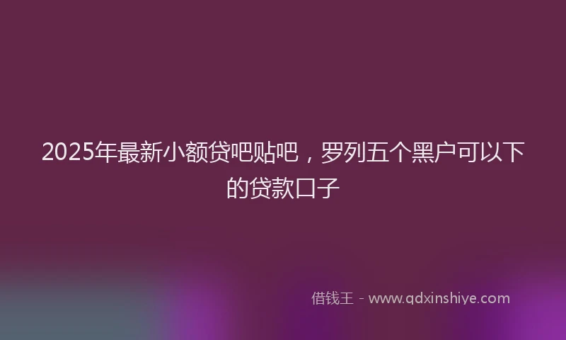 2025年最新小额贷吧贴吧，罗列五个黑户可以下的贷款口子