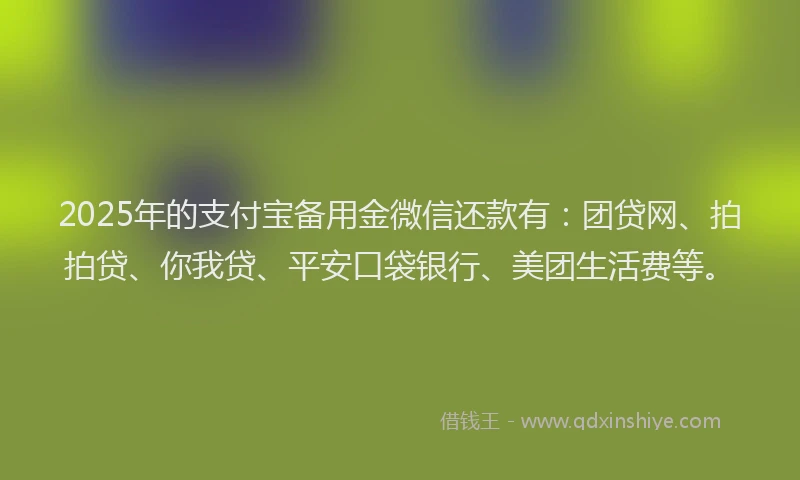 2025年的支付宝备用金微信还款有：团贷网、拍拍贷、你我贷、平安口袋银行、美团生活费等。