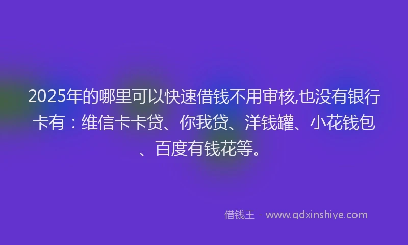 2025年的哪里可以快速借钱不用审核,也没有银行卡有：维信卡卡贷、你我贷、洋钱罐、小花钱包、百度有钱花等。