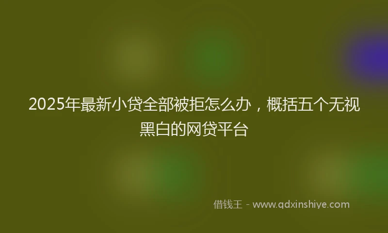 2025年最新小贷全部被拒怎么办，概括五个无视黑白的网贷平台