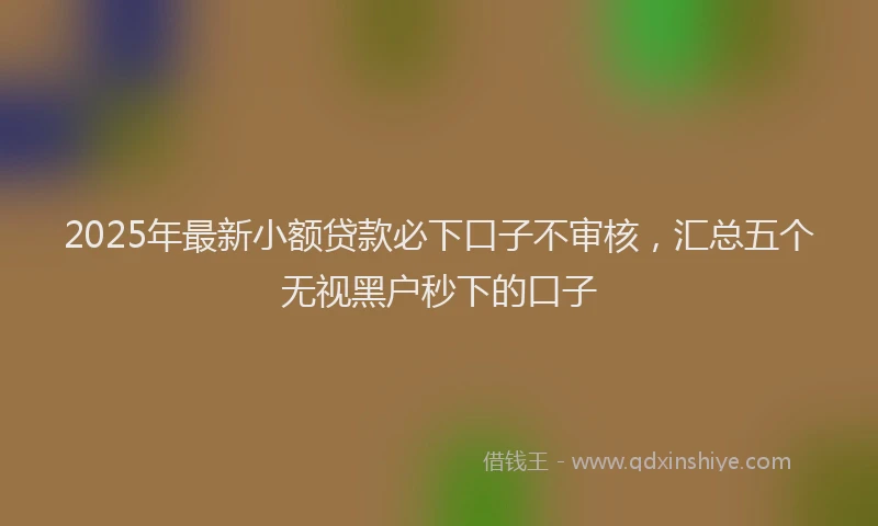 2025年最新小额贷款必下口子不审核，汇总五个无视黑户秒下的口子