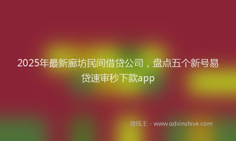 2025年最新廊坊民间借贷公司，盘点五个新号易贷速审秒下款app
