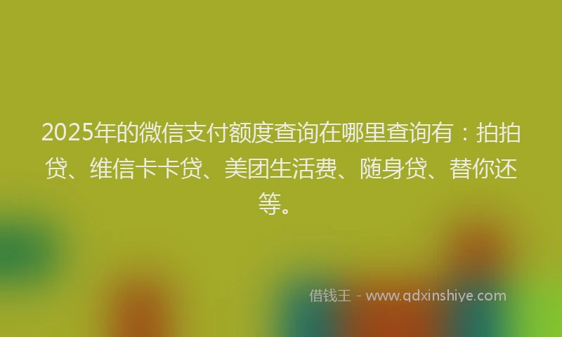 2025年的微信支付额度查询在哪里查询有：拍拍贷、维信卡卡贷、美团生活费、随身贷、替你还等。