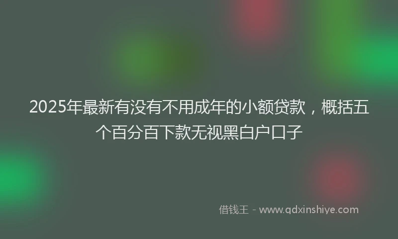 2025年最新有没有不用成年的小额贷款，概括五个百分百下款无视黑白户口子