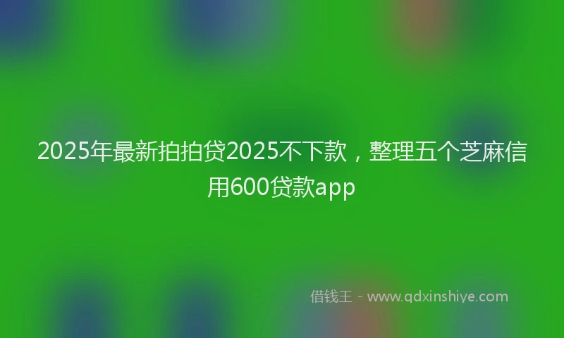 2025年最新拍拍贷2025不下款，整理五个芝麻信用600贷款app