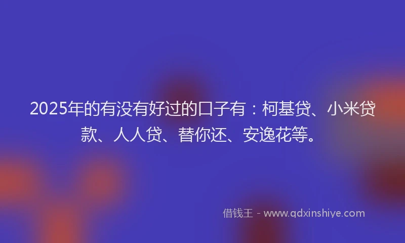 2025年的有没有好过的口子有：柯基贷、小米贷款、人人贷、替你还、安逸花等。