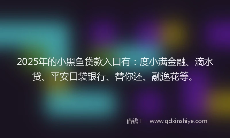 2025年的小黑鱼贷款入口有：度小满金融、滴水贷、平安口袋银行、替你还、融逸花等。