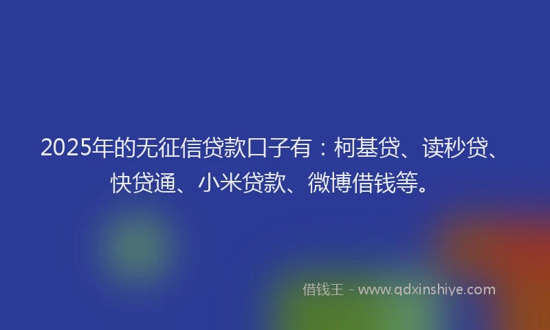 2025年的无征信贷款口子有：柯基贷、读秒贷、快贷通、小米贷款、微博借钱等。