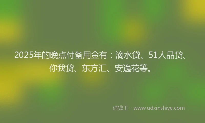 2025年的晚点付备用金有：滴水贷、51人品贷、你我贷、东方汇、安逸花等。