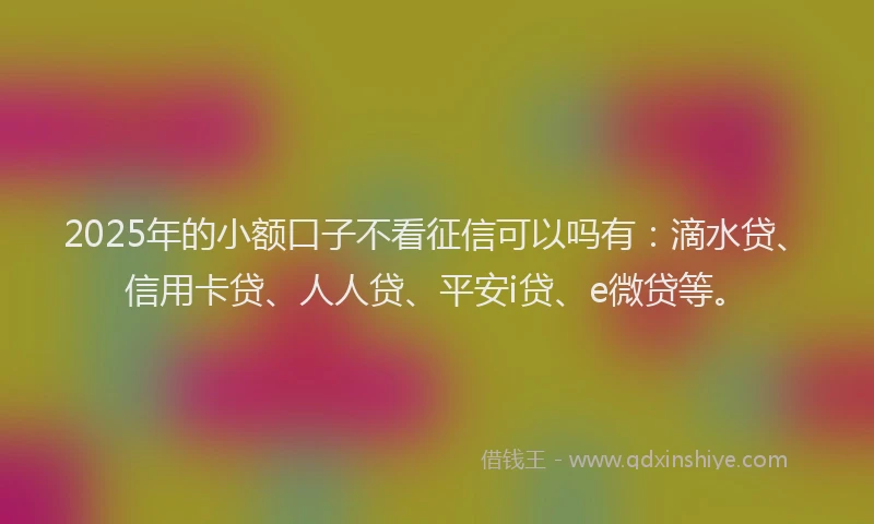 2025年的小额口子不看征信可以吗有：滴水贷、信用卡贷、人人贷、平安i贷、e微贷等。