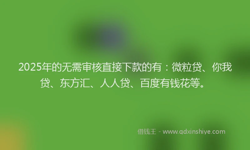 2025年的无需审核直接下款的有：微粒贷、你我贷、东方汇、人人贷、百度有钱花等。