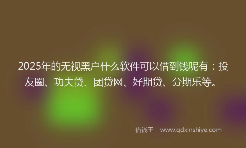 2025年的无视黑户什么软件可以借到钱呢有：投友圈、功夫贷、团贷网、好期贷、分期乐等。