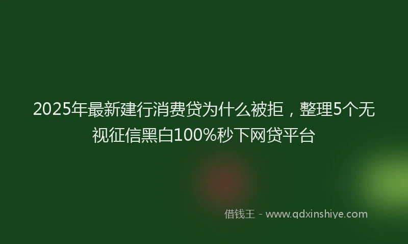 2025年最新建行消费贷为什么被拒，整理5个无视征信黑白100%秒下网贷平台