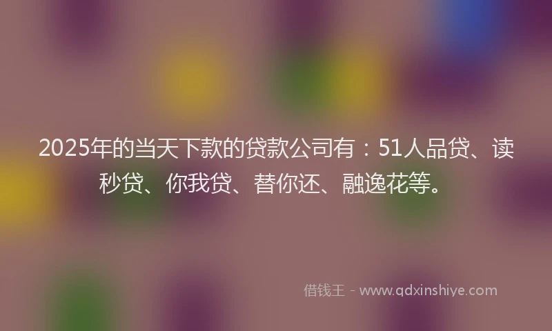 2025年的当天下款的贷款公司有：51人品贷、读秒贷、你我贷、替你还、融逸花等。