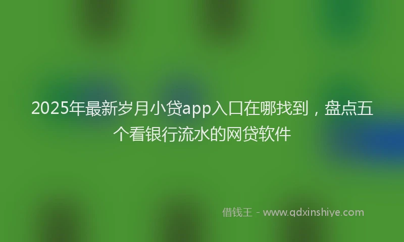 2025年最新岁月小贷app入口在哪找到，盘点五个看银行流水的网贷软件