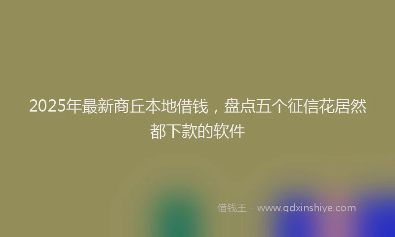 2025年最新商丘本地借钱，盘点五个征信花居然都下款的软件