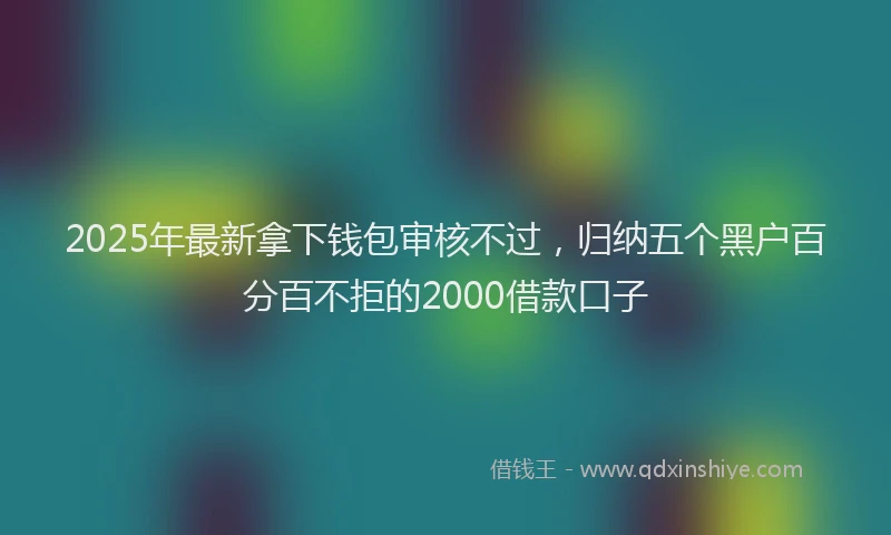 2025年最新拿下钱包审核不过，归纳五个黑户百分百不拒的2000借款口子