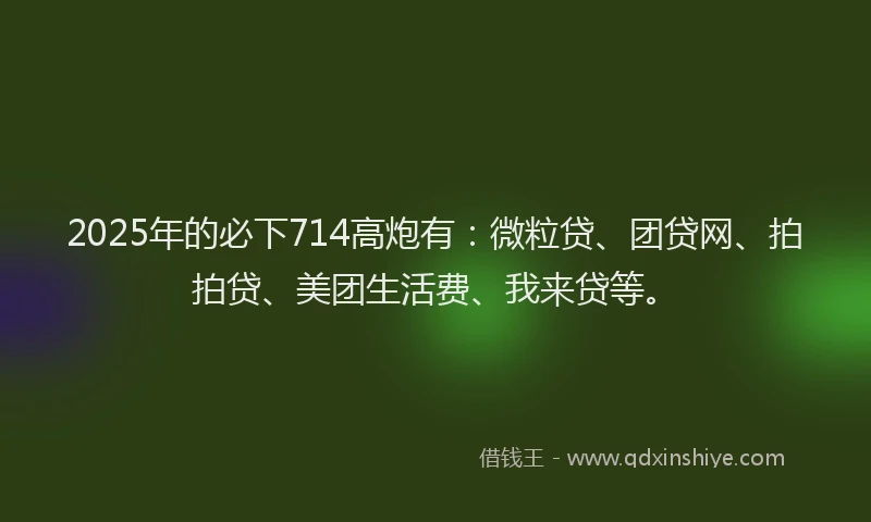 2025年的必下714高炮有：微粒贷、团贷网、拍拍贷、美团生活费、我来贷等。