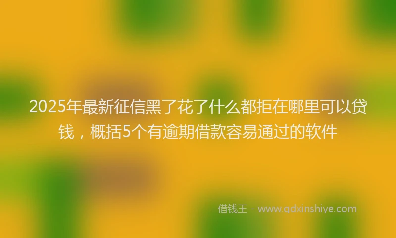 2025年最新征信黑了花了什么都拒在哪里可以贷钱，概括5个有逾期借款容易通过的软件