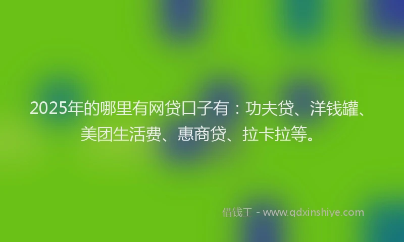 2025年的哪里有网贷口子有：功夫贷、洋钱罐、美团生活费、惠商贷、拉卡拉等。