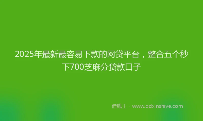 2025年最新最容易下款的网贷平台，整合五个秒下700芝麻分贷款口子