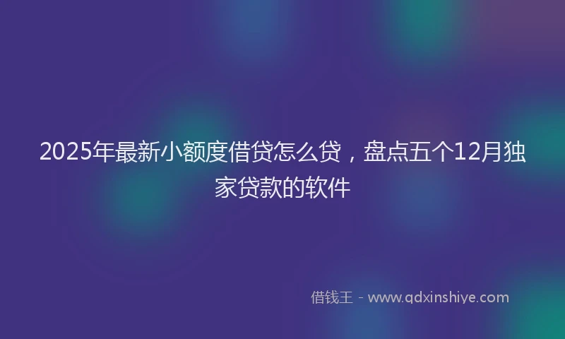 2025年最新小额度借贷怎么贷，盘点五个12月独家贷款的软件