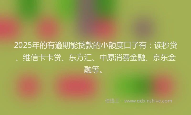 2025年的有逾期能贷款的小额度口子有：读秒贷、维信卡卡贷、东方汇、中原消费金融、京东金融等。