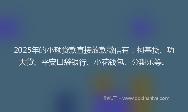 2025年的小额贷款直接放款微信有：柯基贷、功夫贷、平安口袋银行、小花钱包、分期乐等。
