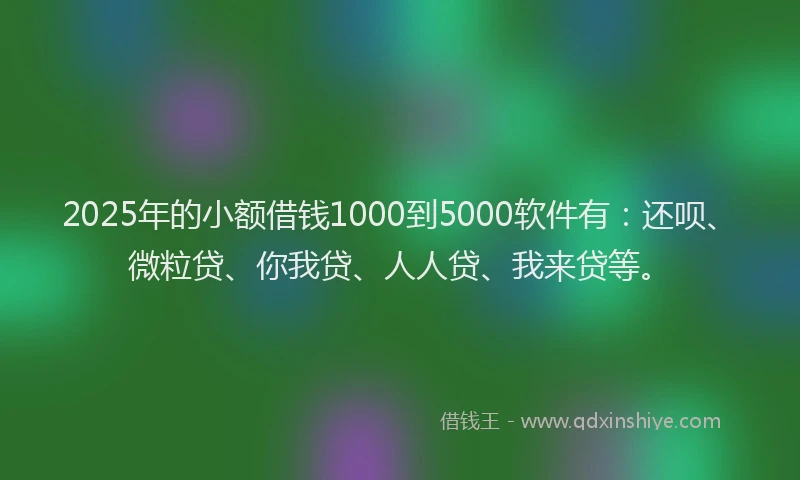 2025年的小额借钱1000到5000软件有：还呗、微粒贷、你我贷、人人贷、我来贷等。