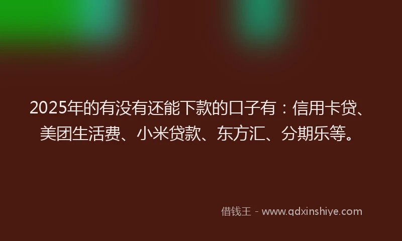 2025年的有没有还能下款的口子有：信用卡贷、美团生活费、小米贷款、东方汇、分期乐等。